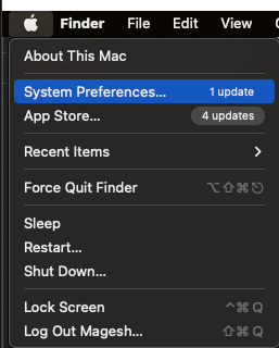Click the system preferences option to start time machine