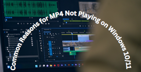 common-reasons-for-MP4-not-playing-on-windows-10-11