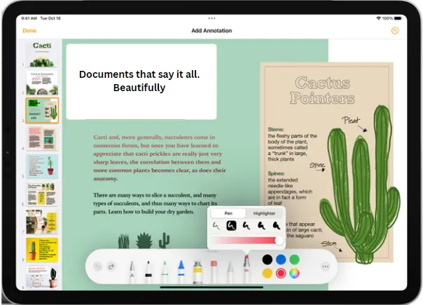 recover-pages-document