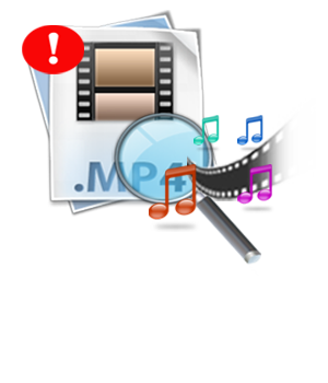 Software to MP4 Video File Errors