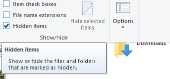 select hidden items checkbox to see hidden files windows 10