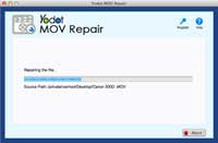 mov repair screen 2